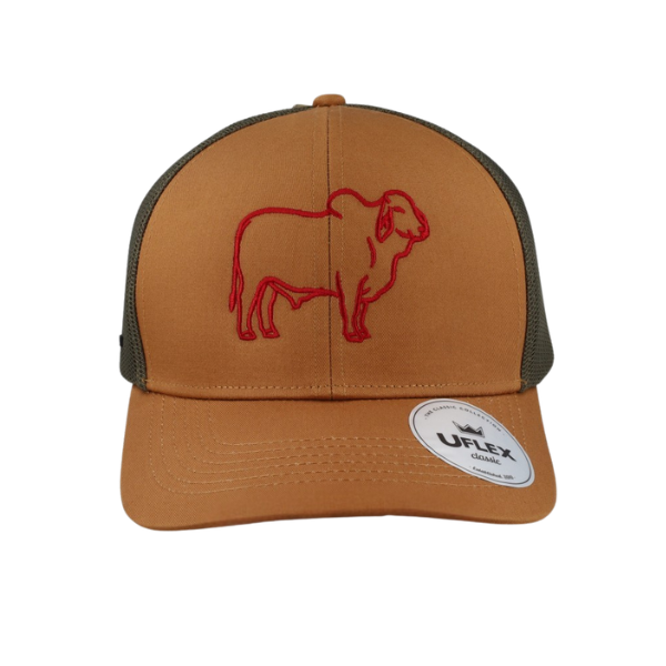 BAF Brahman Embroided